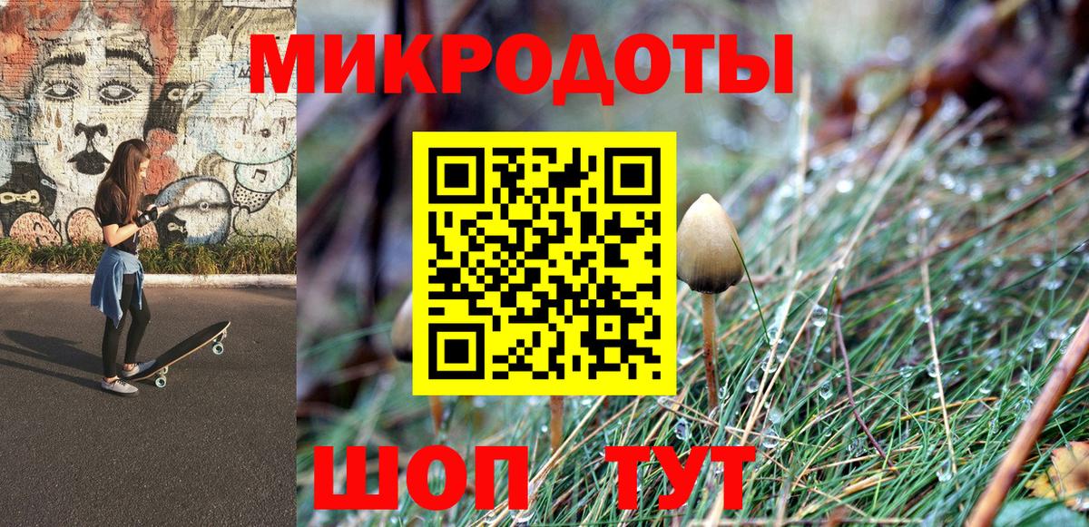 Псилоцибиновые грибы ЛСД Курчалой