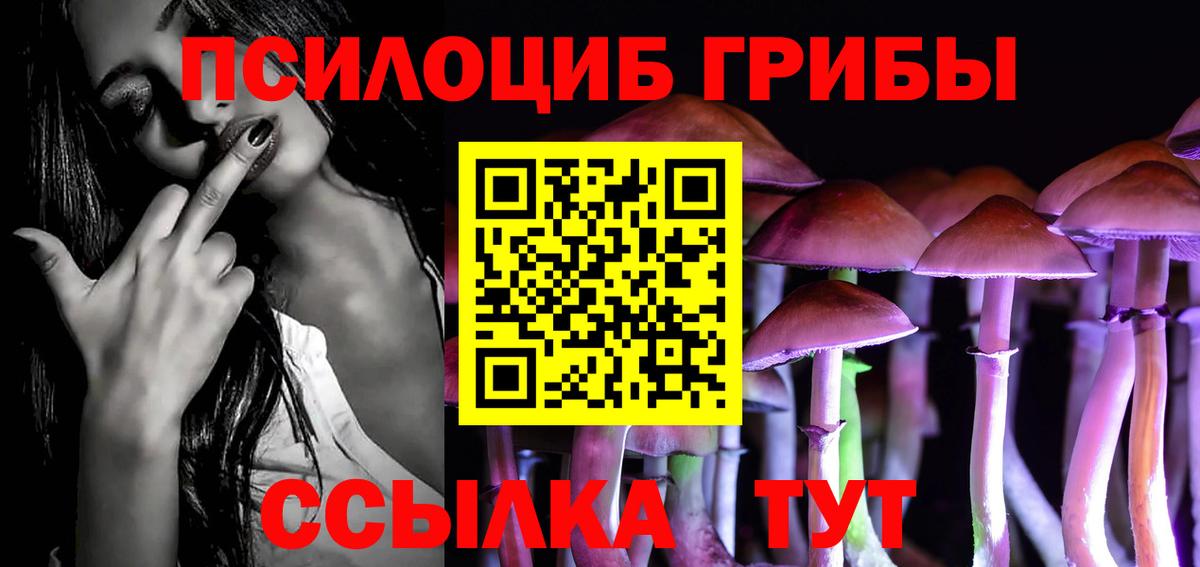 Галлюциногенные грибы Cubensis  Вход с VPN  Курчалой 