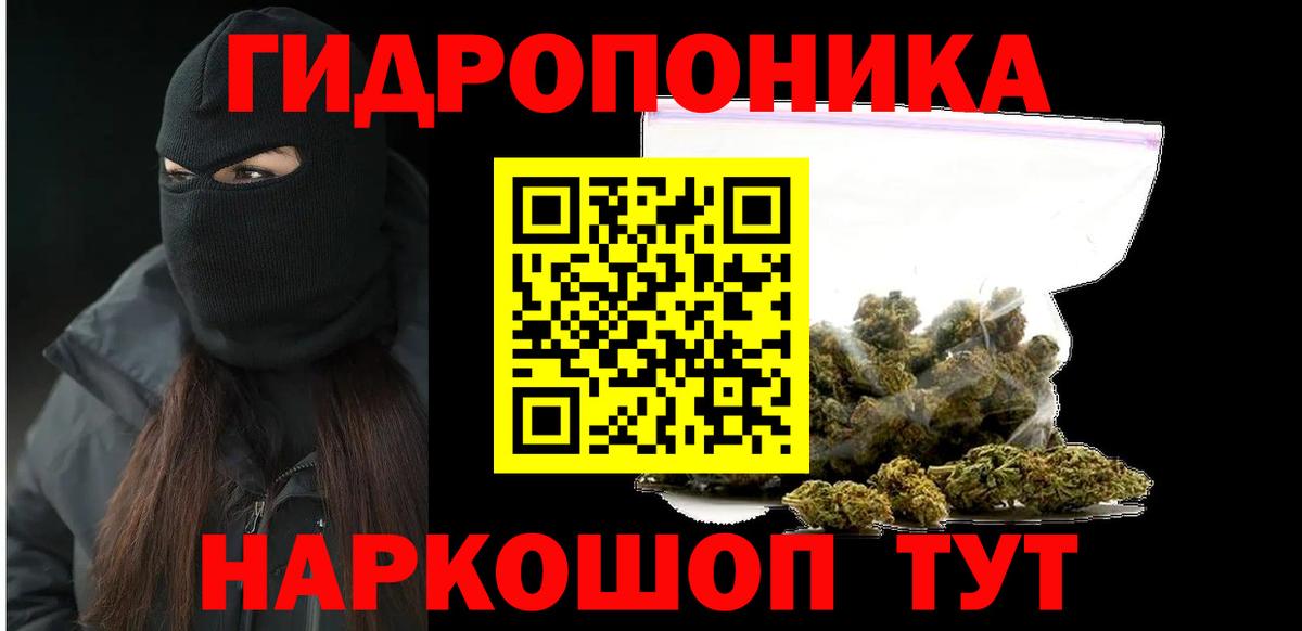 Бошки Шишки семена Курчалой
